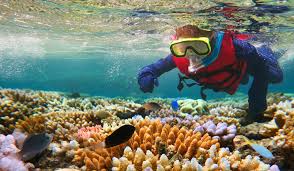 Coral reef